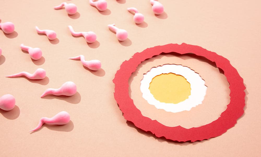 How to Improve Egg Quality – 9 Ways to Boost Fertility