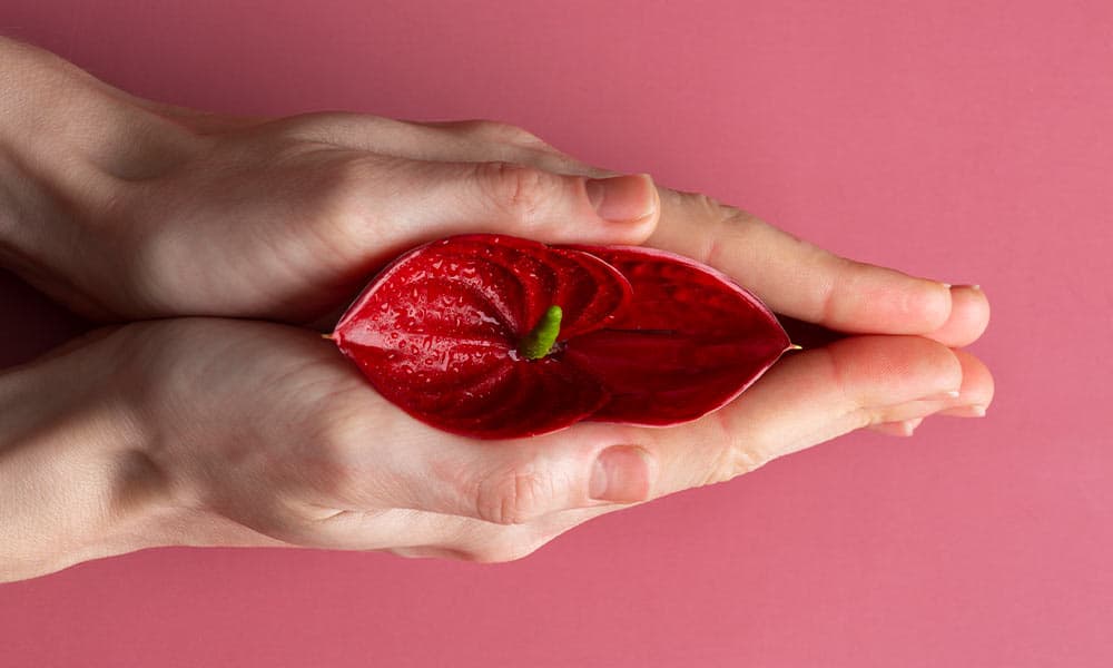 What are Vaginal Boils?