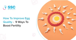How to Improve Egg Quality