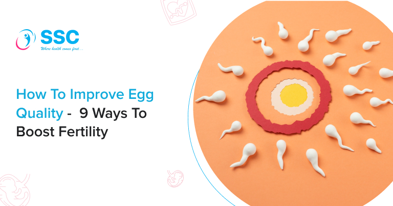 How to Improve Egg Quality